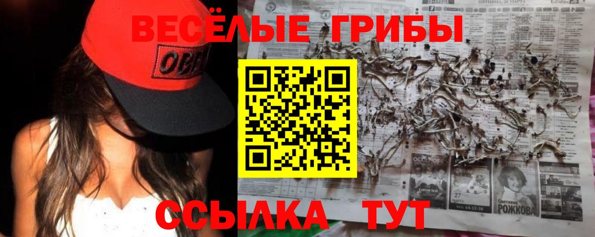 Галлюциногенные грибы Psilocybe Рязань